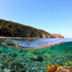 Fotografia artistica - Foto di Calamoresca a pelo d'acqua