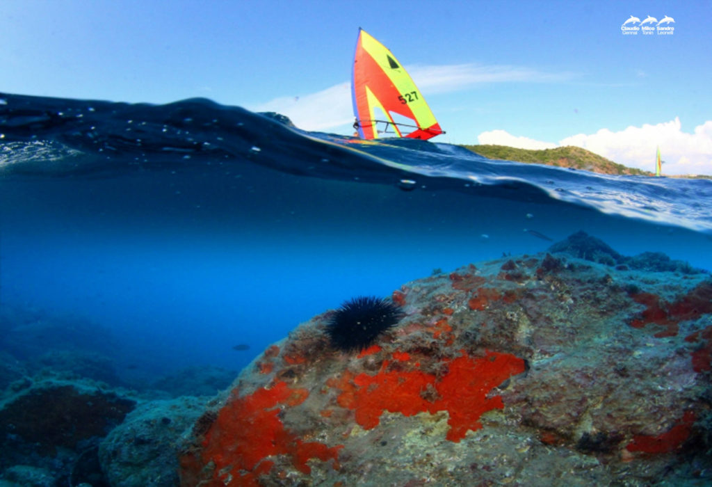 Foto di surf scattata a mezz'acqua