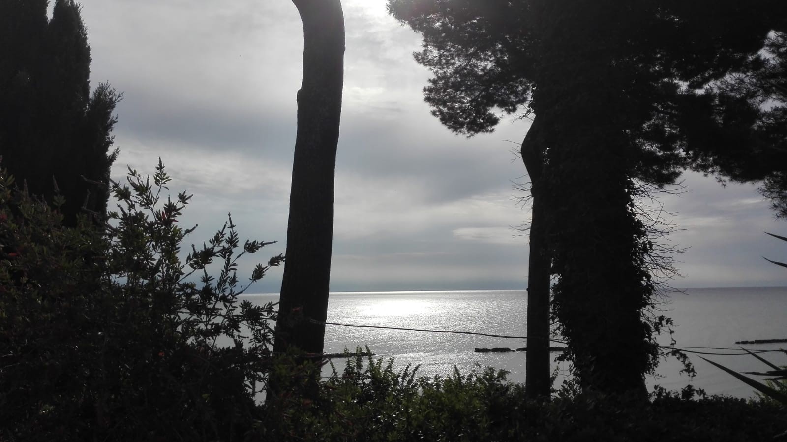 Fabio Strinati - foto dal titolo: "Nel mare il tuffo di uno sguardo"