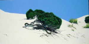 Spiagge della Sardegna - quadro intitolato zona d'ombra-2011- 60x120 acrilico su tela - autrice Chiara Pruna