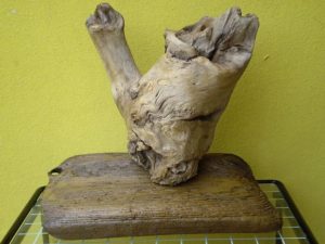 legni di mare - Scultura intitolata "Ossa di legno" - autore Sandro Vischia