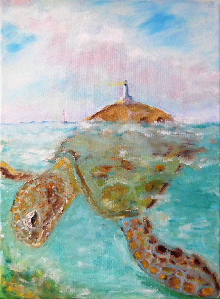 quadro caretta caretta